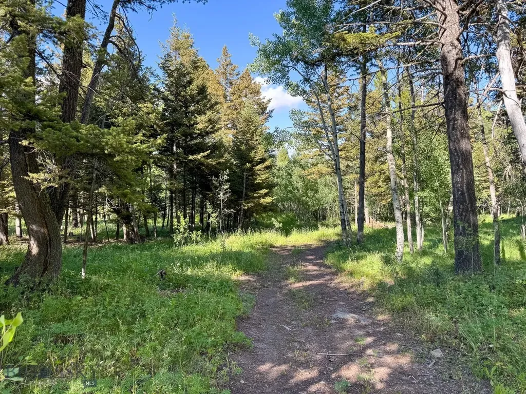 4 Pine Hill Drive White Sulphur Springs MT 59645