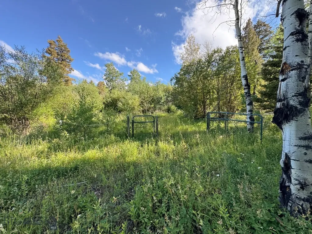 4 Pine Hill Drive White Sulphur Springs MT 59645