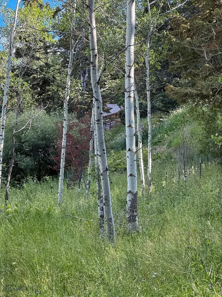 4 Pine Hill Drive White Sulphur Springs MT 59645