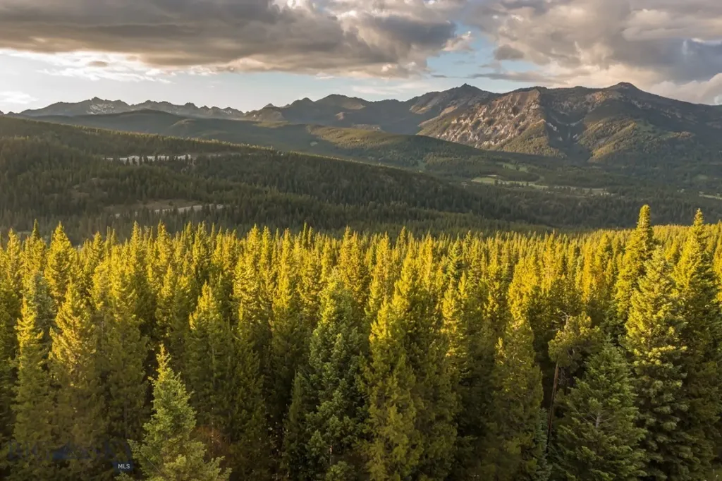 Tbd Bitterbrush Trail, Lot 42 Big Sky MT 59716