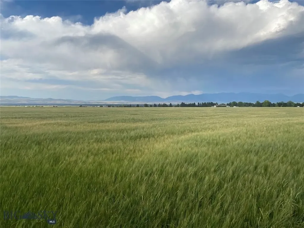 Tract 5 (81 Acres) Churchill Road Churchill MT 59741