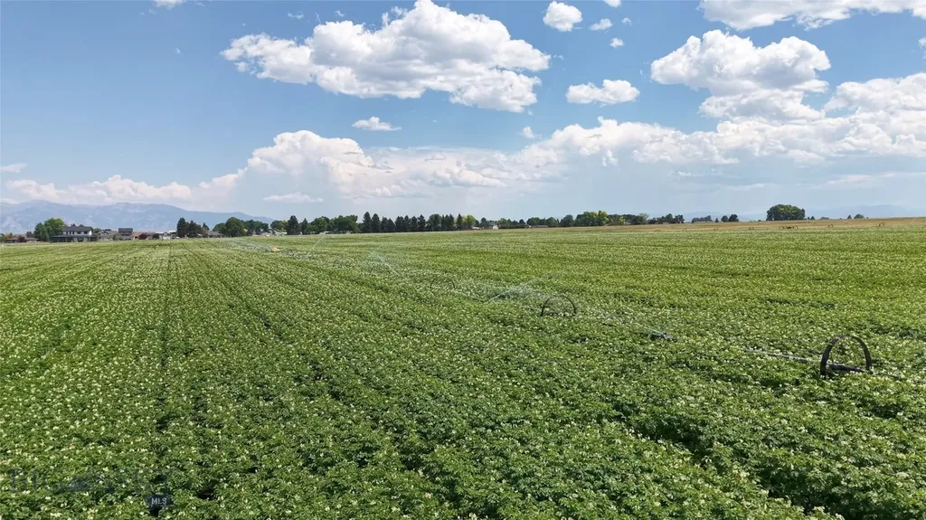 Tract 5 (81 Acres) Churchill Road Churchill MT 59741