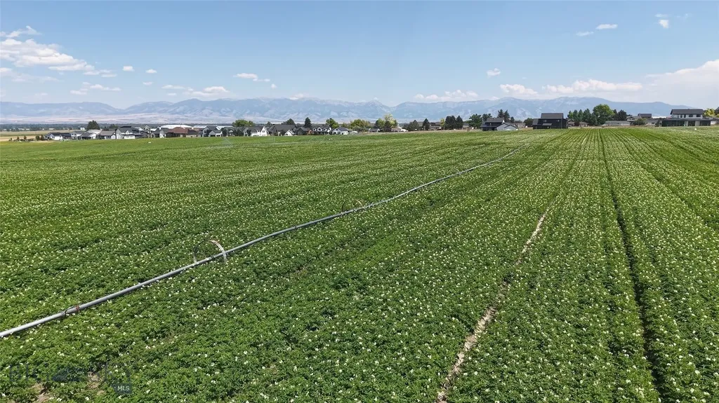 Tract 4 (46 Acres) Churchill Road Churchill MT 59741