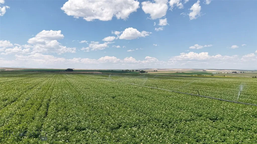 Tract 4 (46 Acres) Churchill Road Churchill MT 59741