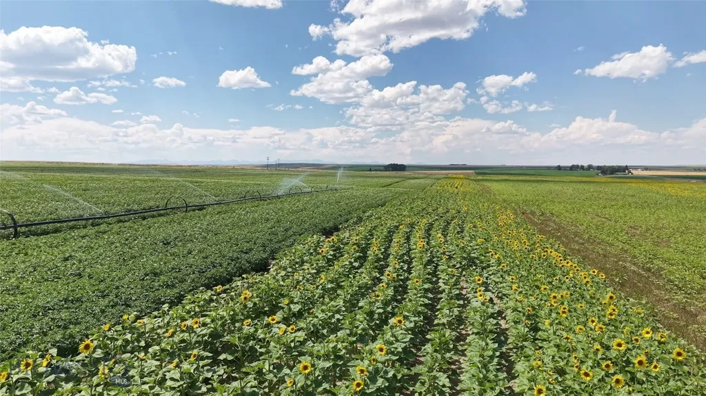 Tract 4 (46 Acres) Churchill Road Churchill MT 59741