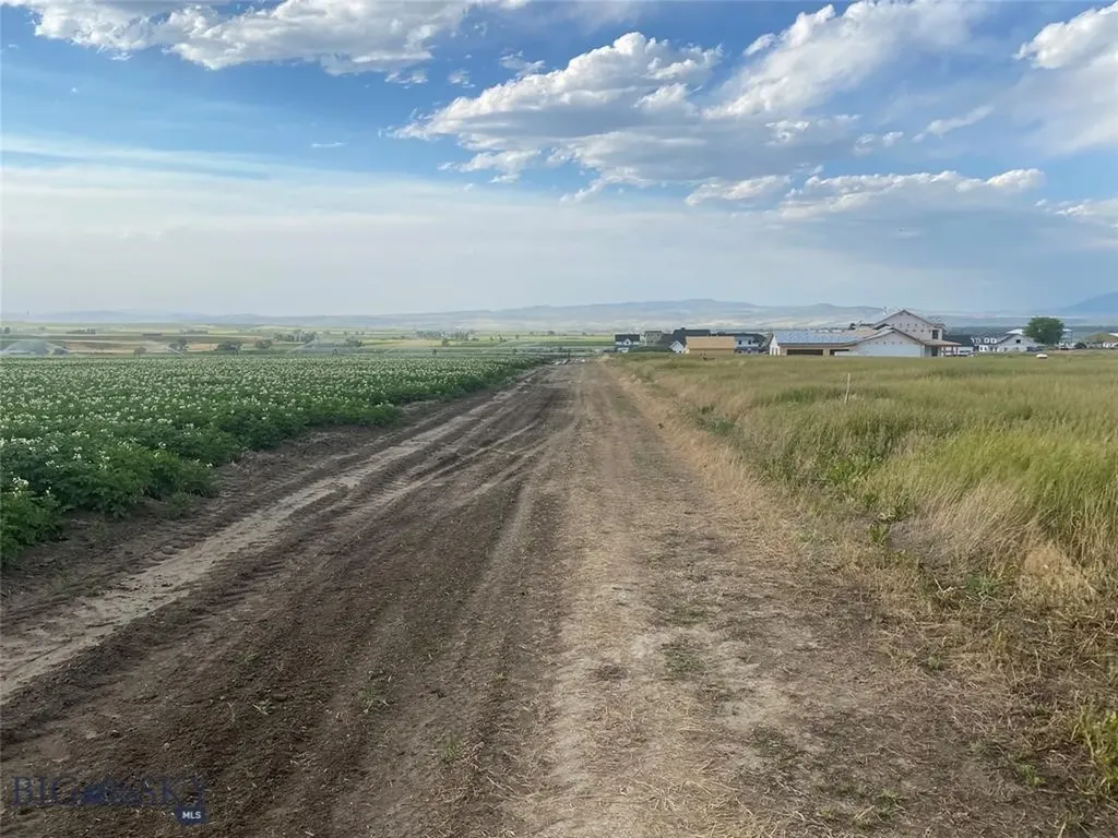 Tract 4 (46 Acres) Churchill Road Churchill MT 59741