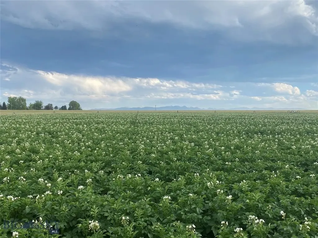 Tract 4 (46 Acres) Churchill Road Churchill MT 59741