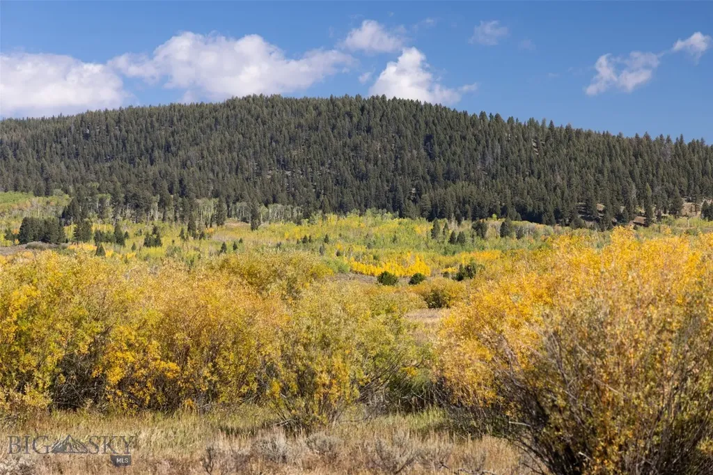 399 Egret Drive West Yellowstone MT 59758