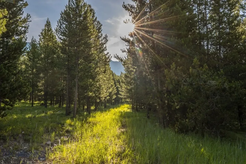 Tbd Jack Creek Road, Moonlight Territory Parcel 2 Big Sky MT 59729