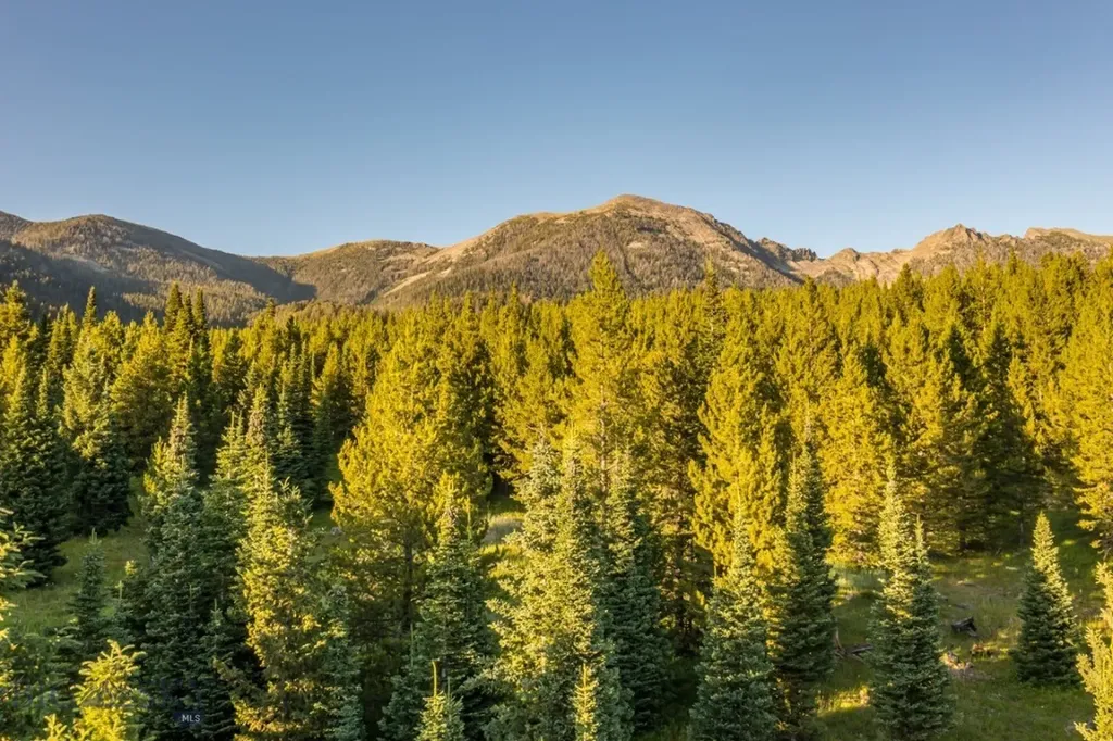Tbd Jack Creek Road, Moonlight Territory Parcel 2 Big Sky MT 59729