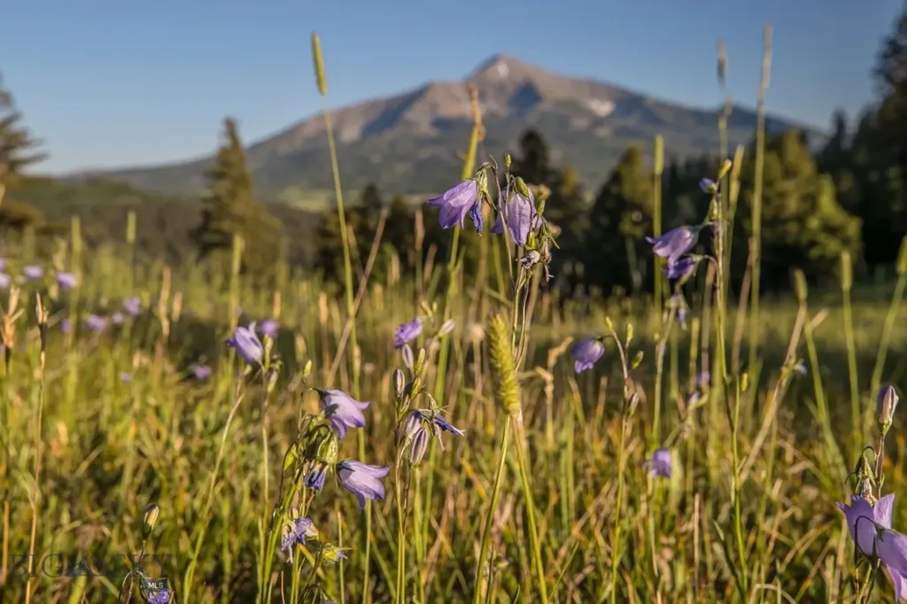 Tbd Jack Creek Road, Moonlight Territory Parcel 2 Big Sky MT 59729