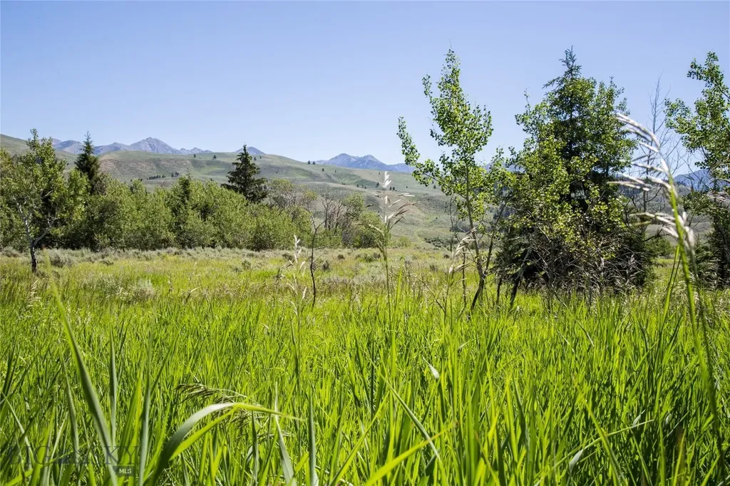 Lot 13 Sun West Ranch Cameron MT 59720