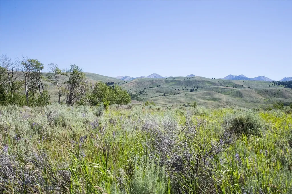 Lot 13 Sun West Ranch Cameron MT 59720