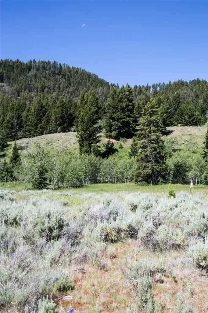 Lot 13 Sun West Ranch Cameron MT 59720