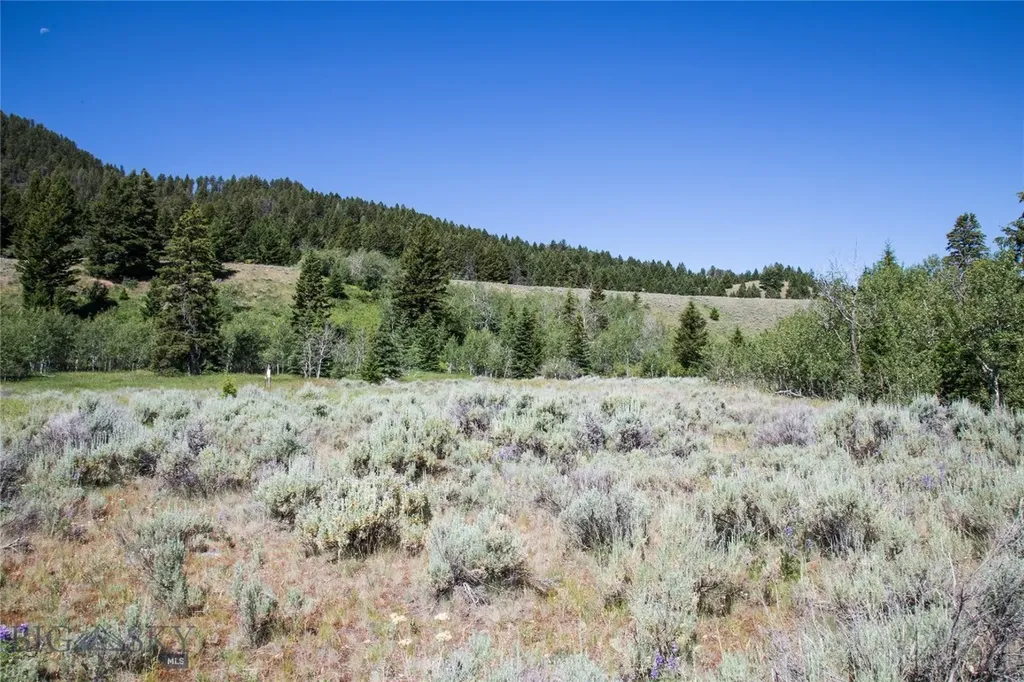 Lot 13 Sun West Ranch Cameron MT 59720