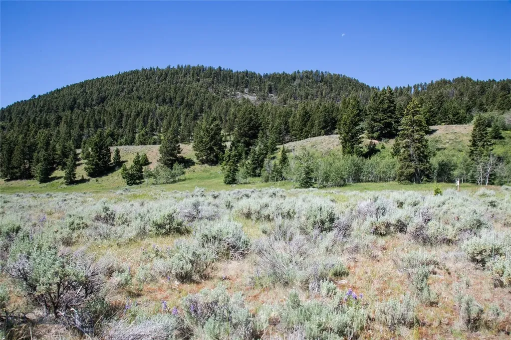 Lot 13 Sun West Ranch Cameron MT 59720