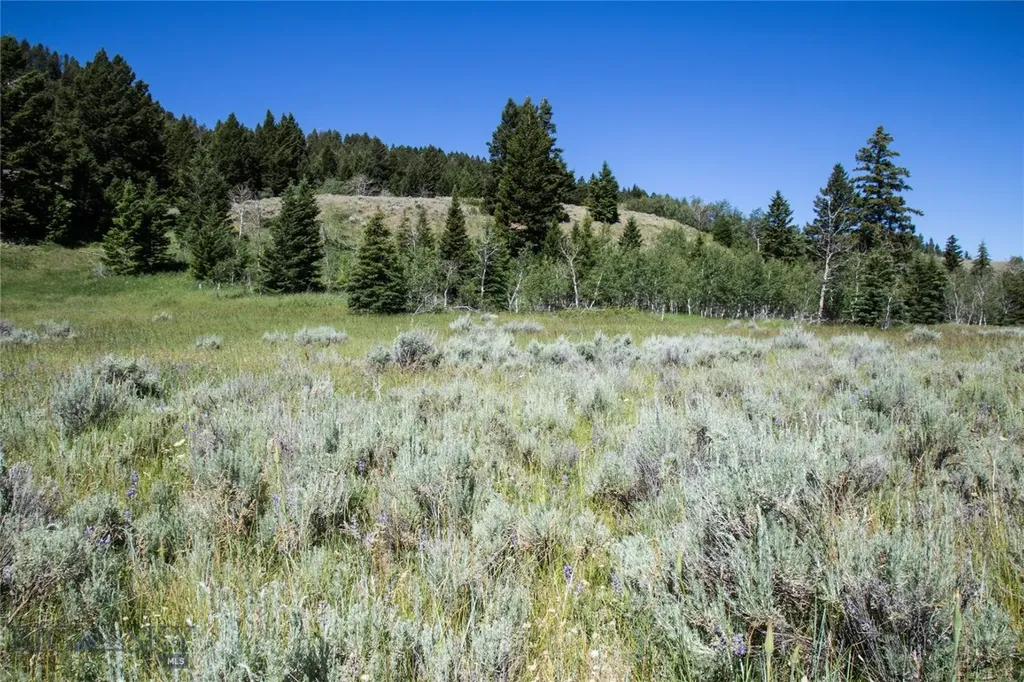 Lot 13 Sun West Ranch Cameron MT 59720