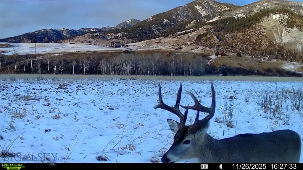 3592 Bridger Canyon Road Bozeman MT 59715