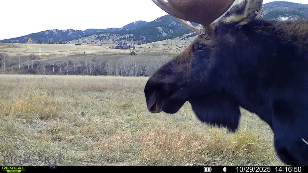 3592 Bridger Canyon Road Bozeman MT 59715
