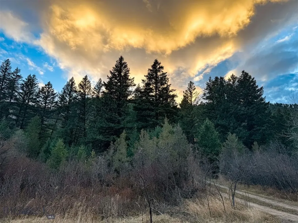 0 Two Creeks Road Other MT 59645