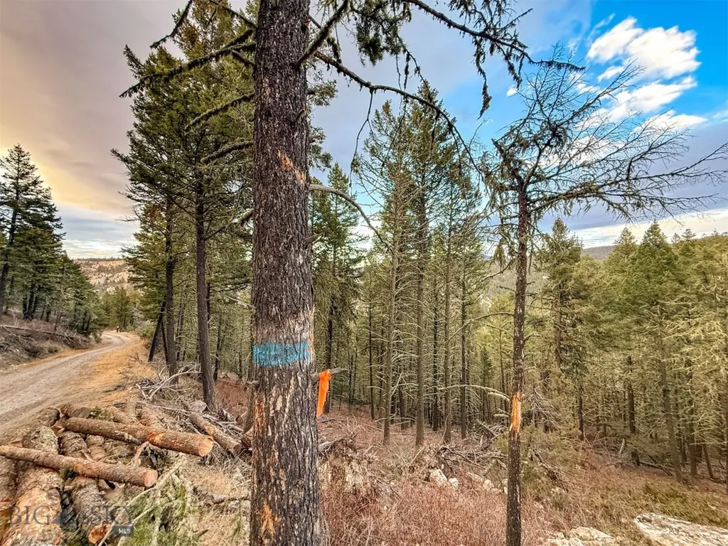 0 Two Creeks Road Other MT 59645