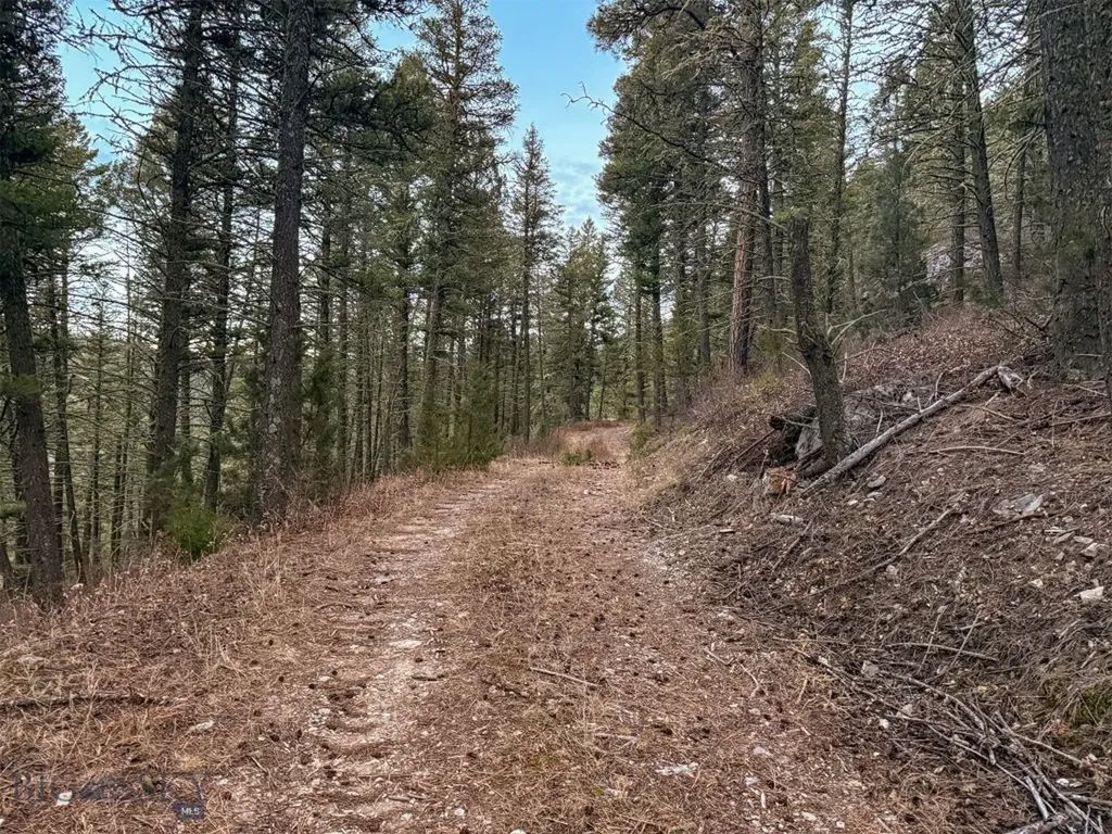 0 Two Creeks Road Other MT 59645