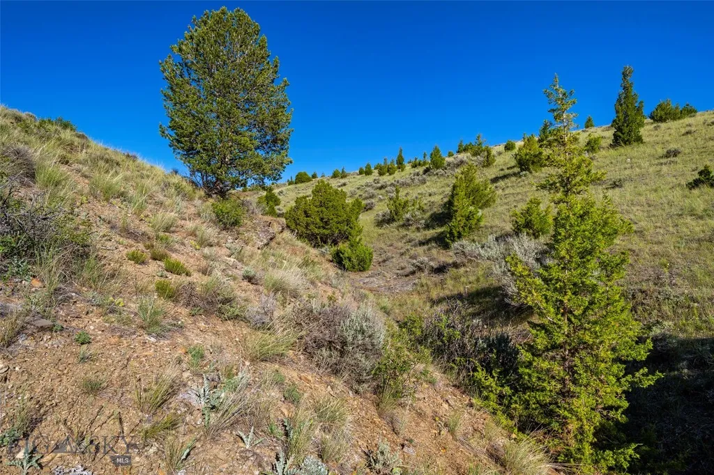 Tbd Horse Castle Road Manhattan MT 59741