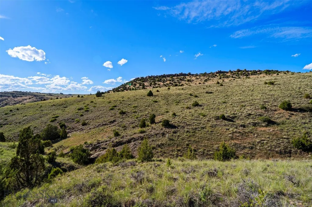 Tbd Horse Castle Road Manhattan MT 59741