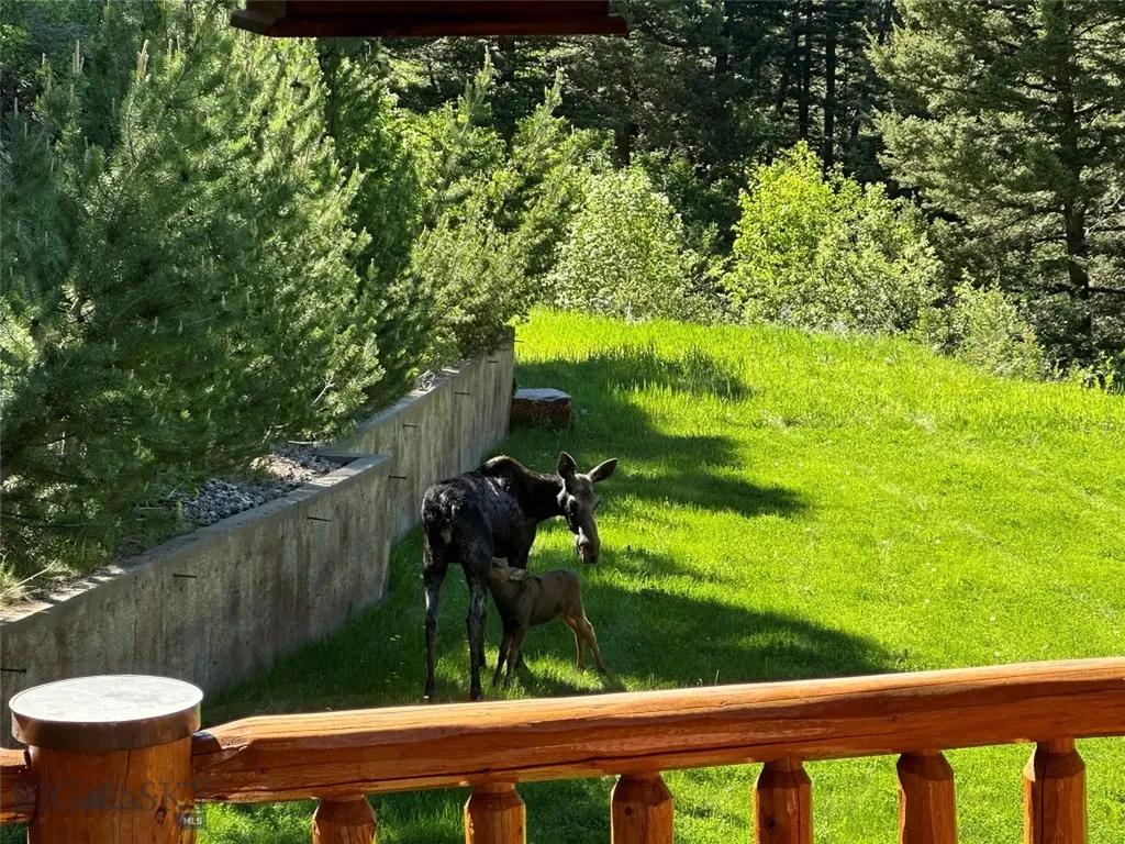 78 Lake Drive Livingston MT 59047