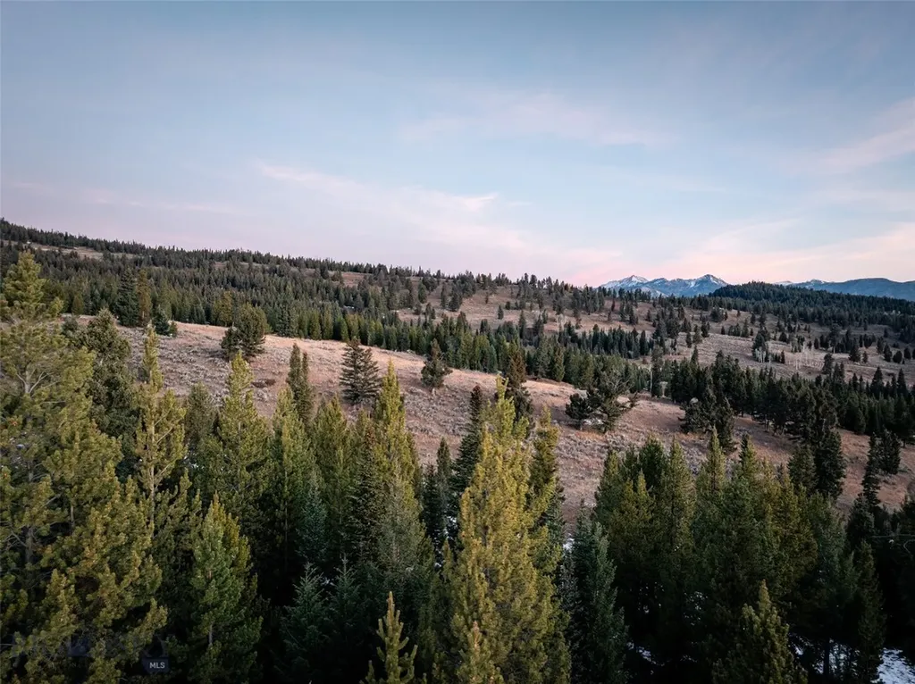 168 Charlie Russell Loop Big Sky MT 59716