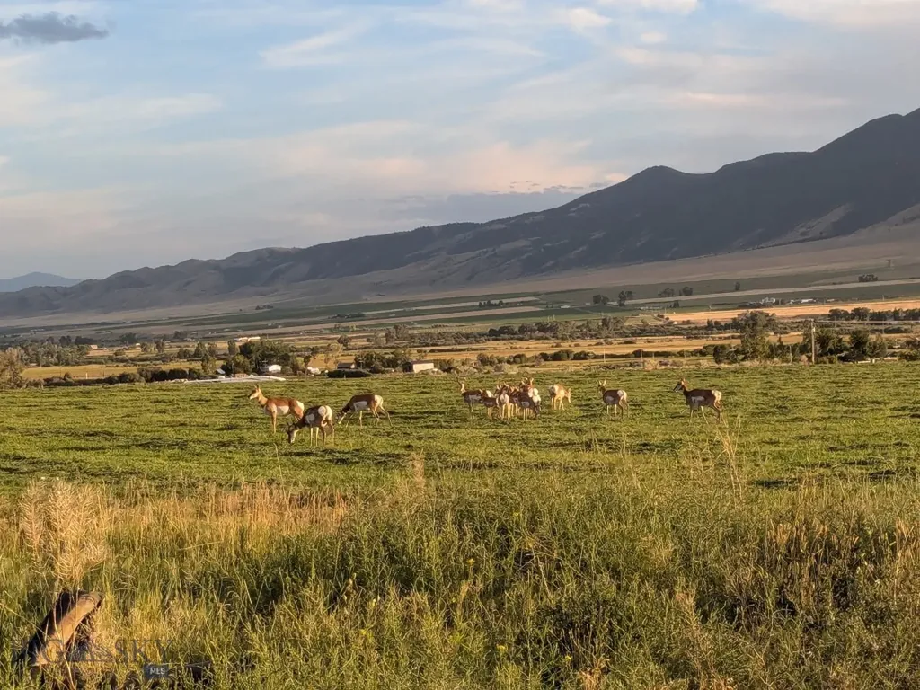 30 Mountain View Road Sheridan MT 59749