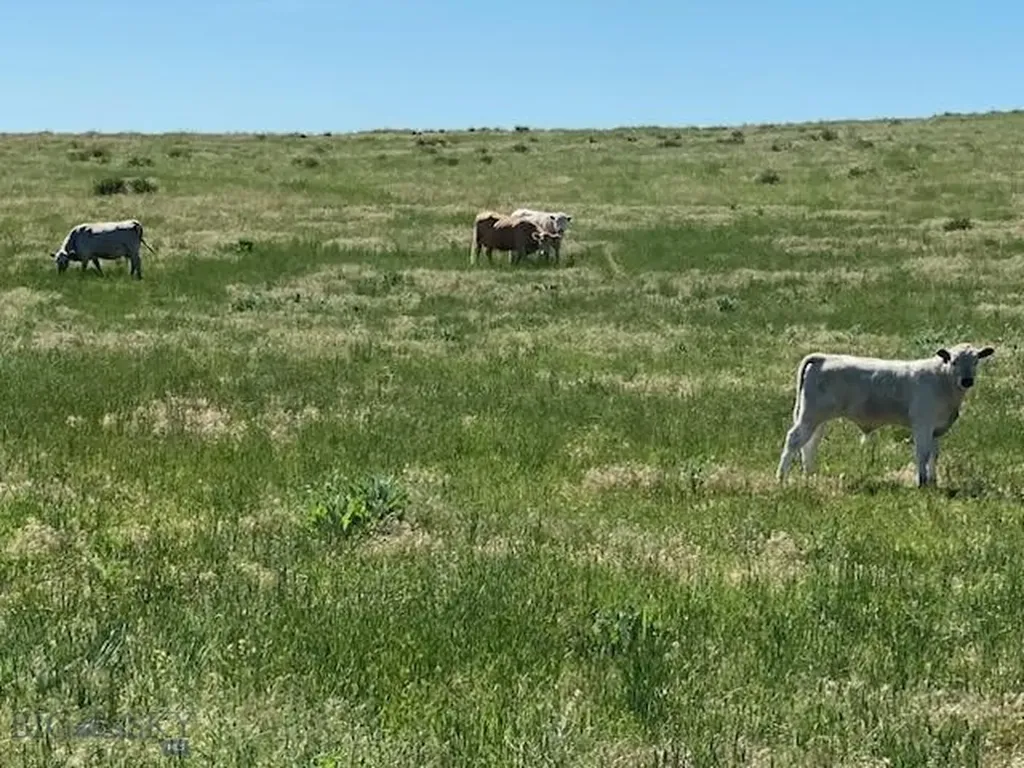 7069 Mainwaring Road Billings MT 59002