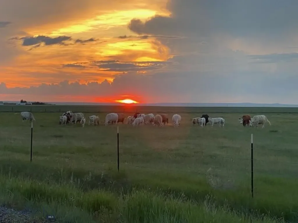 7069 Mainwaring Road Billings MT 59002