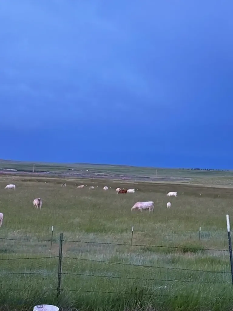 7069 Mainwaring Road Billings MT 59002