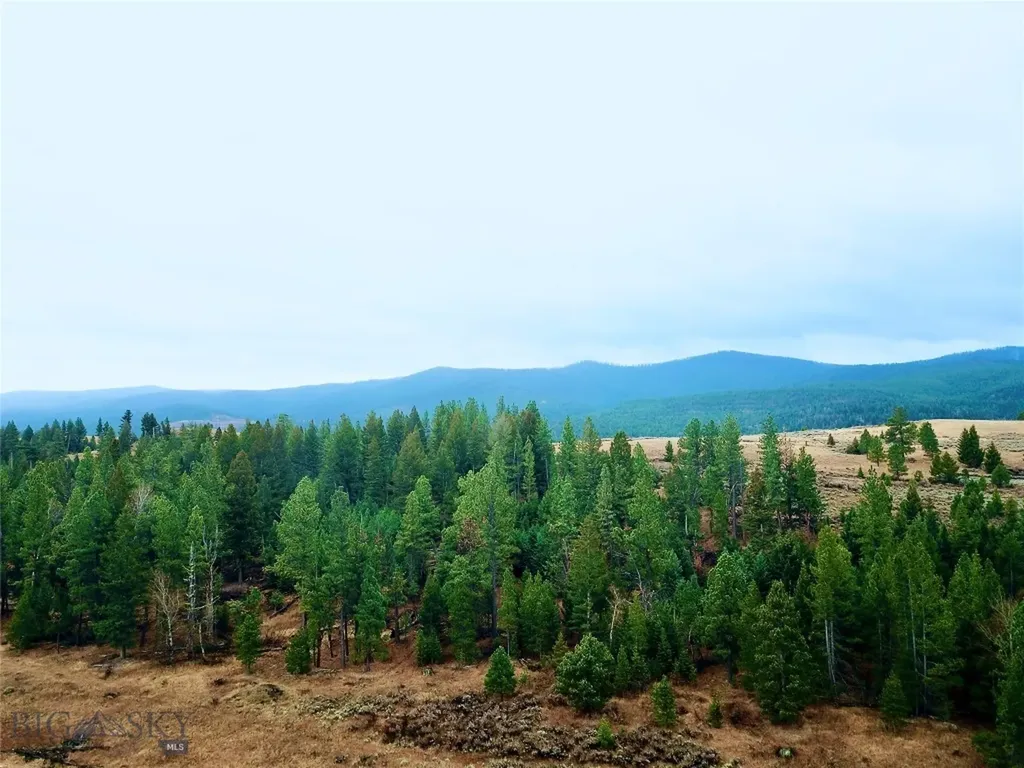 0 Strandskov Road Lincoln MT 59639