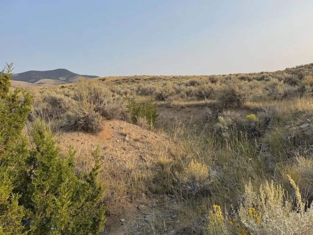 Tbd Sheep Camp Road Whitehall MT 59759