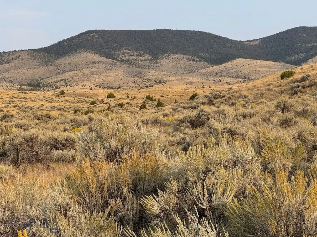 Tbd Sheep Camp Road Whitehall MT 59759