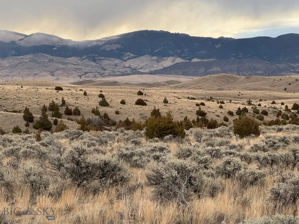 Tbd Sheep Camp Road Whitehall MT 59759