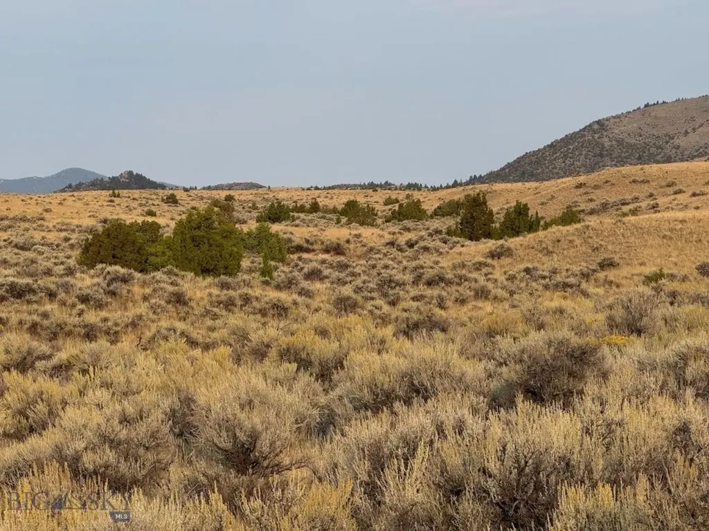 Tbd Sheep Camp Road Whitehall MT 59759