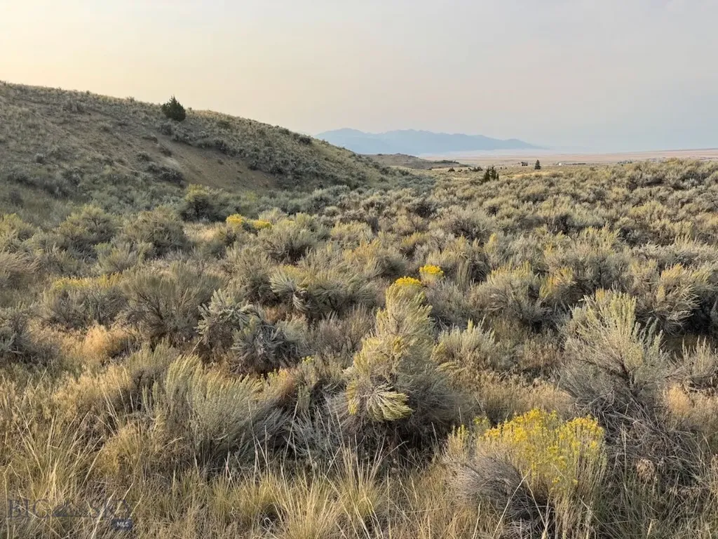 Tbd Sheep Camp Road Whitehall MT 59759