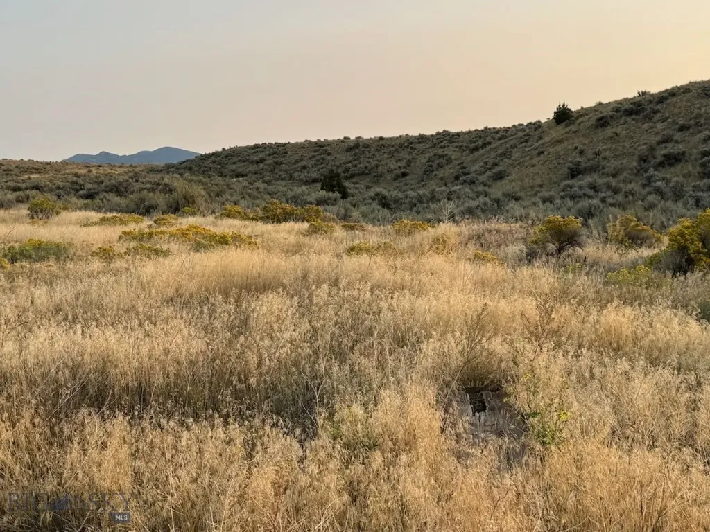 Tbd Sheep Camp Road Whitehall MT 59759