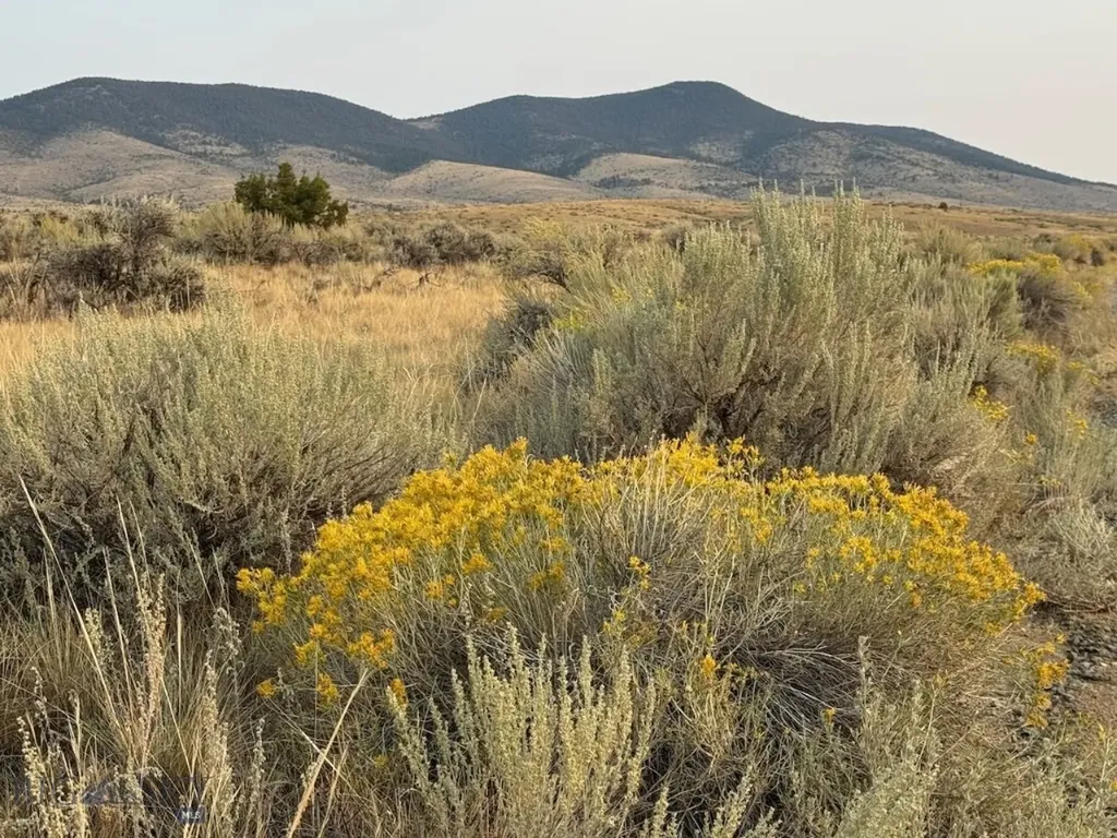 Tbd Sheep Camp Road Whitehall MT 59759