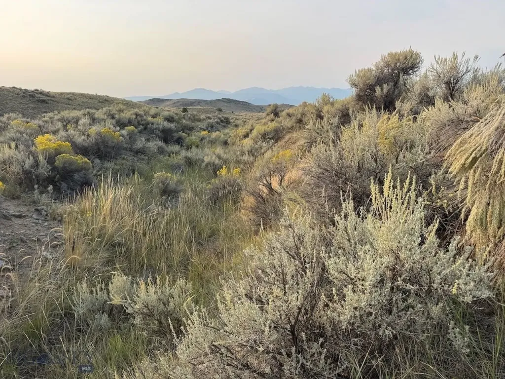 Tbd Sheep Camp Road Whitehall MT 59759