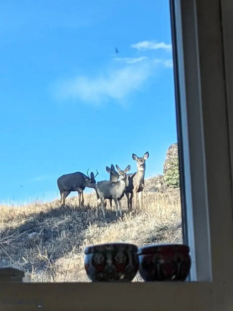 631 S Clark Street Butte MT 59701
