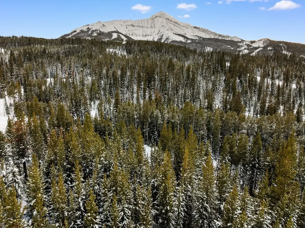 Lot 2 Woodrose Way Big Sky MT 59716