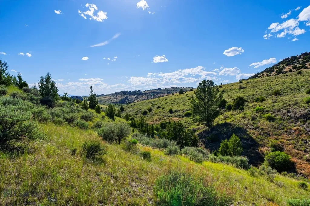 Tbd Twin Rivers Cutoff Road Manhattan MT 59741