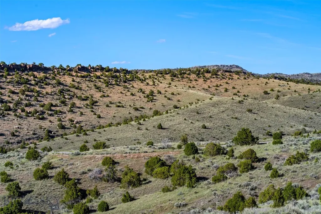 Tbd Twin Rivers Cutoff Road Manhattan MT 59741