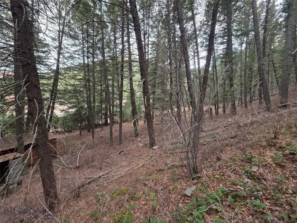 29 Old Hell Roaring Trail Gallatin Gateway MT 59730