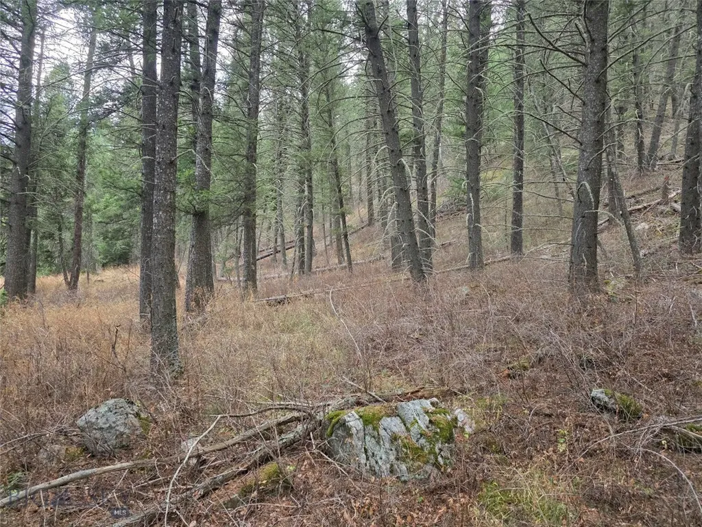 29 Old Hell Roaring Trail Gallatin Gateway MT 59730