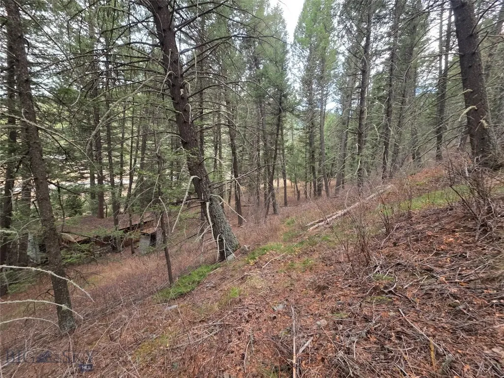 29 Old Hell Roaring Trail Gallatin Gateway MT 59730